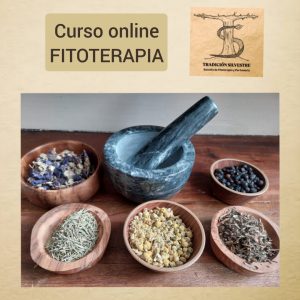 Curso de fitoterapia online