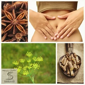 pildora formativa salud digestiva