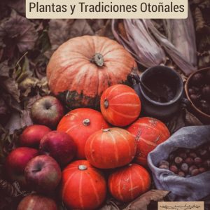 plantas medicinales otoñales