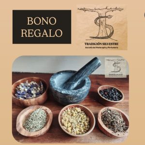 Bono Regalo - Curso Fitoterapia